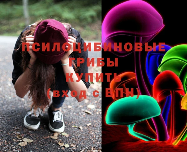PSILOCYBIN Волоколамск
