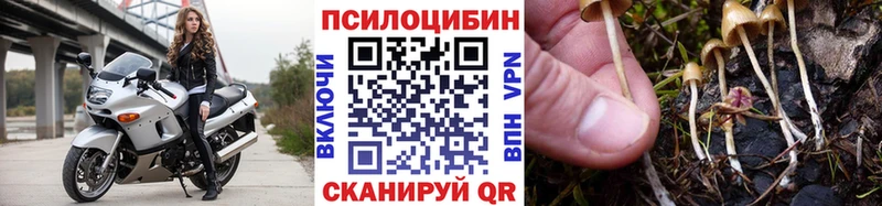 Псилоцибиновые грибы Psilocybine cubensis Купить закладки Полесск